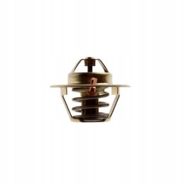 Termostatas mf3 2485c022