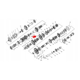 Gbt3765 23 6x2 9 sandarinimo žiedas 23 6 x 2 9