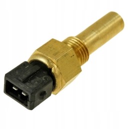 Deutz bf6m1013fc temperatūros jutiklis 01182702