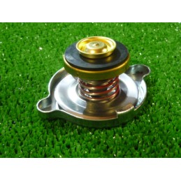 Radiatoriaus dangtelis mf 968816m2 151 15 massey ferguson