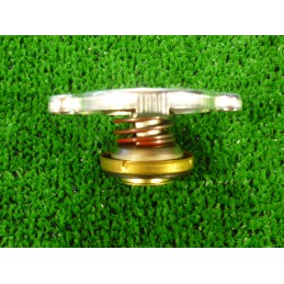 Radiatoriaus dangtelis mf 968816m2 151 15 massey ferguson