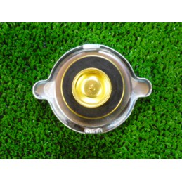 Radiatoriaus dangtelis mf 968816m2 151 15 massey ferguson