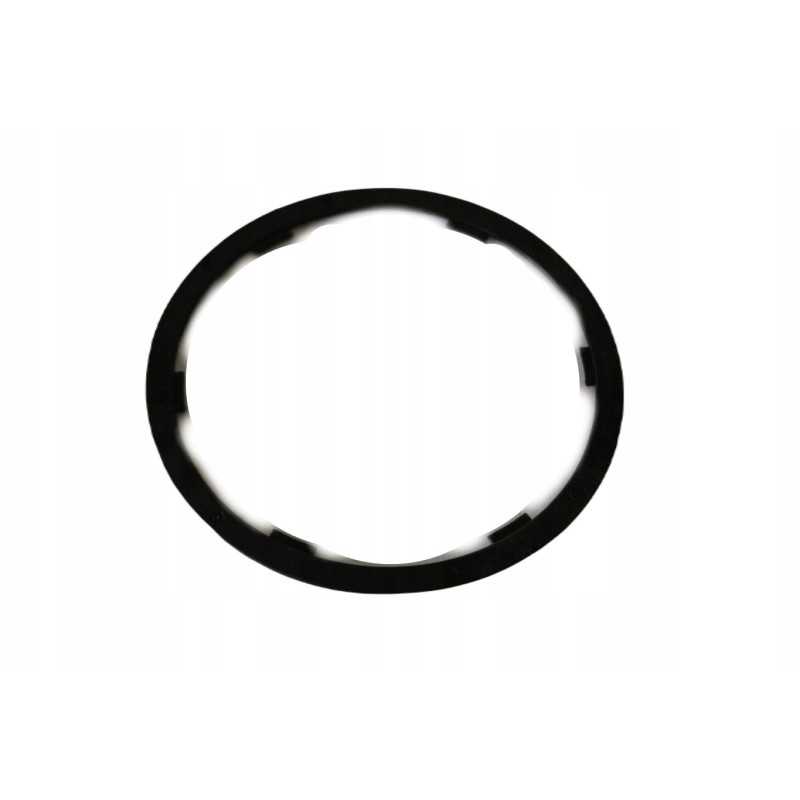 Hidraulinio filtro žiedas New Holland Case 84274