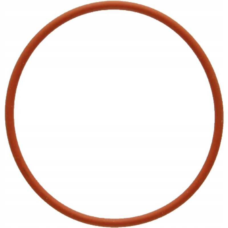 Oring 38012874 r501459 granitas