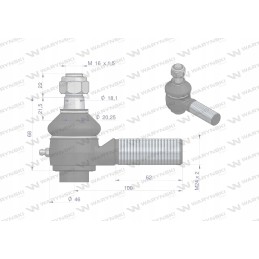 Jungtis yra sustiprinta, sutrumpinta ir reguliuojama