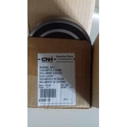 Rutulinis guolis 47509176 84435858 naujas Olandijos korpusas