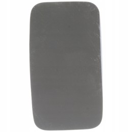 Stiklinio veidrodžio įdėklas Pil korpusas Steyr 299652a1