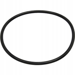 Oring 58 x 2 6 mm 70815944 3815650m1 granitas