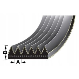 Vpe6393 kelių griovelių diržas