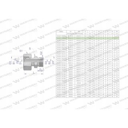Hidraulinė jungtis AB M16x1 5 M12x1 5 Warynski