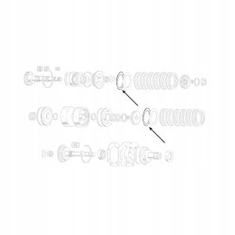 Massey Ferguson pavarų dėžės frikcinė plokštė 1754344m1