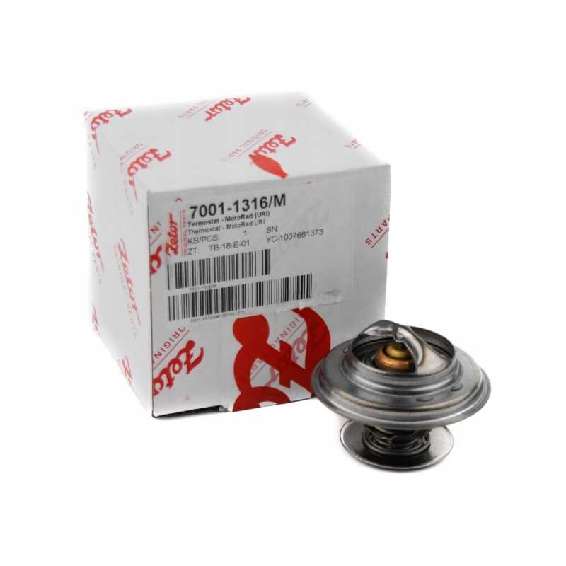 Termostatas Zetor Forterra Proxima 70011316 originalus