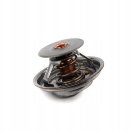 Termostatas Zetor Forterra Proxima 70011316 originalus
