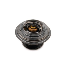 Termostatas Zetor Forterra Proxima 70011316 originalus