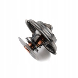 Termostatas Zetor Forterra Proxima 70011316 originalus