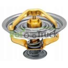 Termostato korpusas q85 85c steyr 130100061003