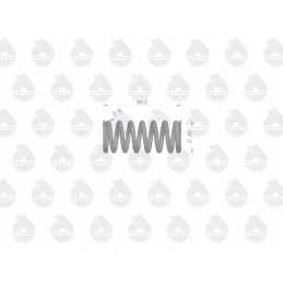 Maža sankabos spyruoklė parduodama už 10c 385 ory