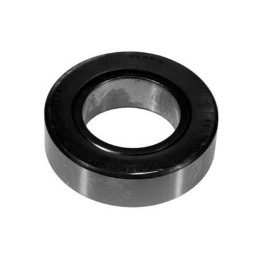 Vpj2469 guolis