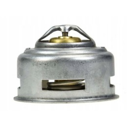 Termostatas c 330 50000820