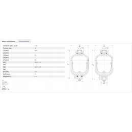 Hidroakumuliatorius New Holland T7 Case Puma 47752045