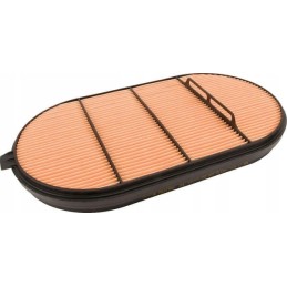 Donaldson oro filtras p621984