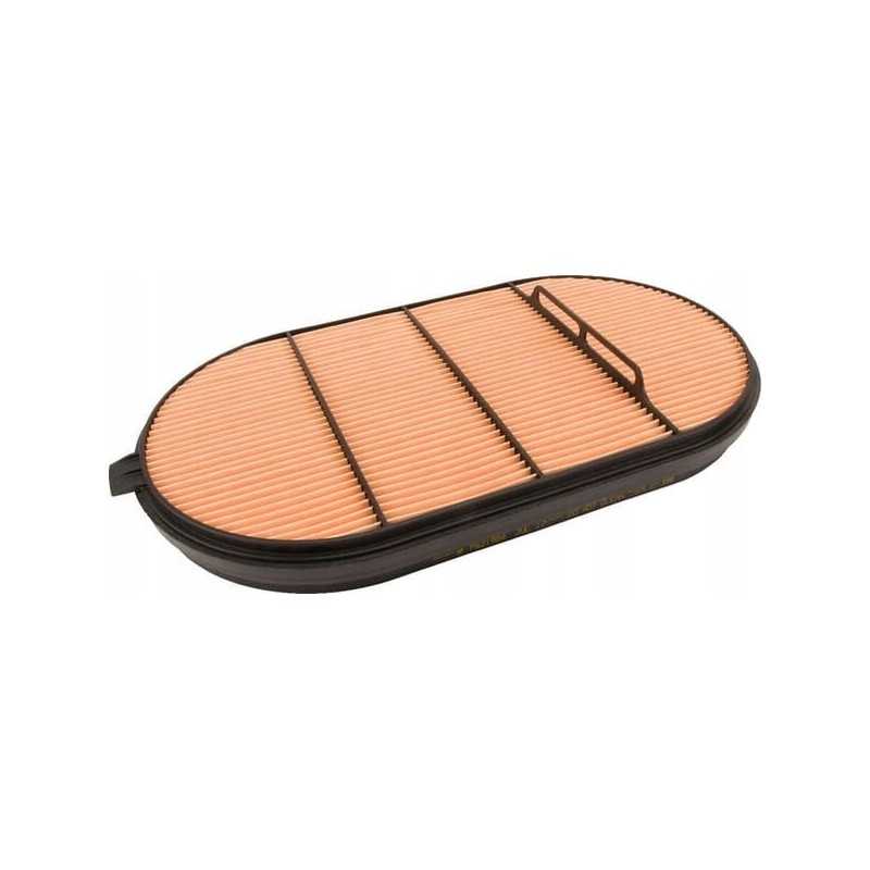 Donaldson oro filtras p621984