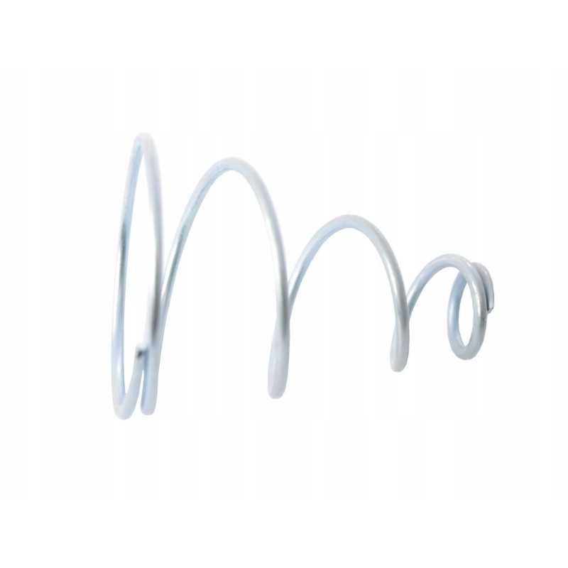 Stabdžių spyruoklė c385 80227015