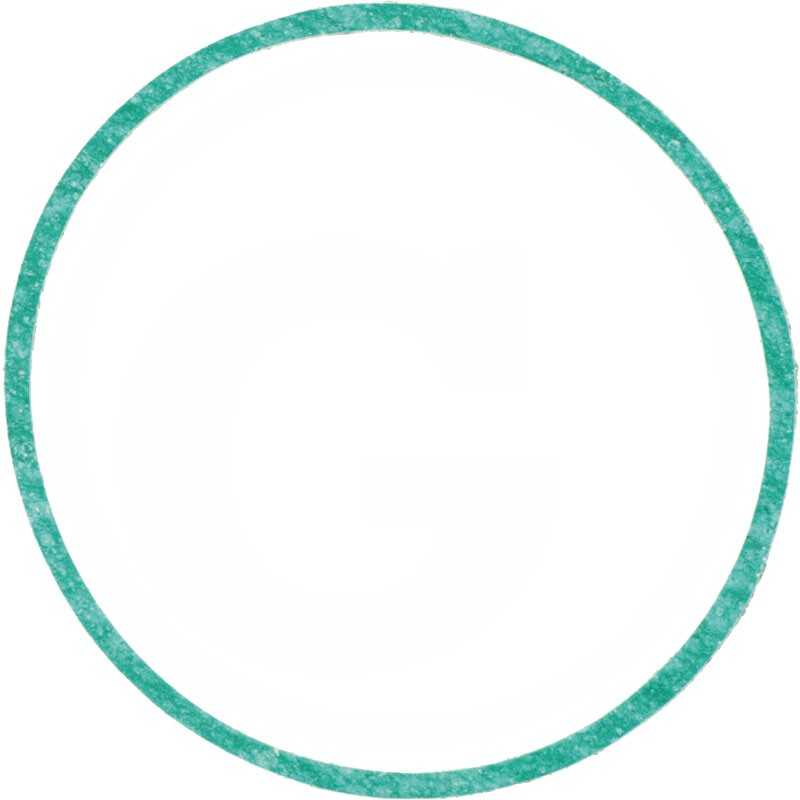 Alyvos filtro tarpiklis