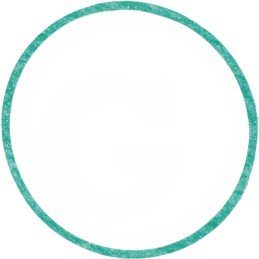 Alyvos filtro tarpiklis