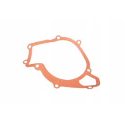 4224103m1 vandens siurblio sandariklis