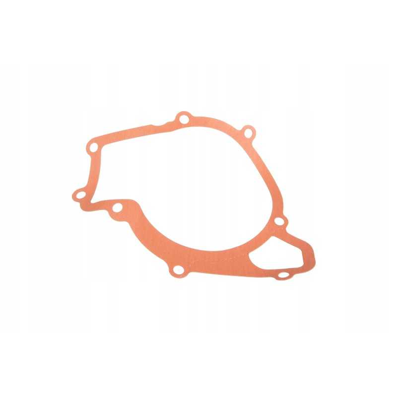 4224103m1 vandens siurblio sandariklis