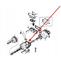 4224103m1 vandens siurblio sandariklis