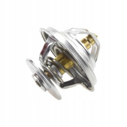 Vandens termostatas fendt f119202000530 originalus