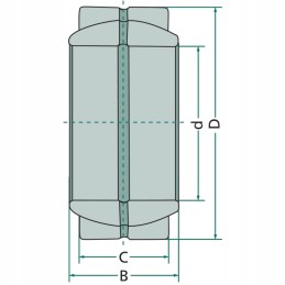 Skersinis sferinis guolis