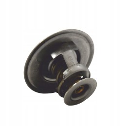 Termostatas John Deere AR48675 RE48583