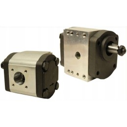 Hidraulinis siurblys mf ferguson 4301819m2