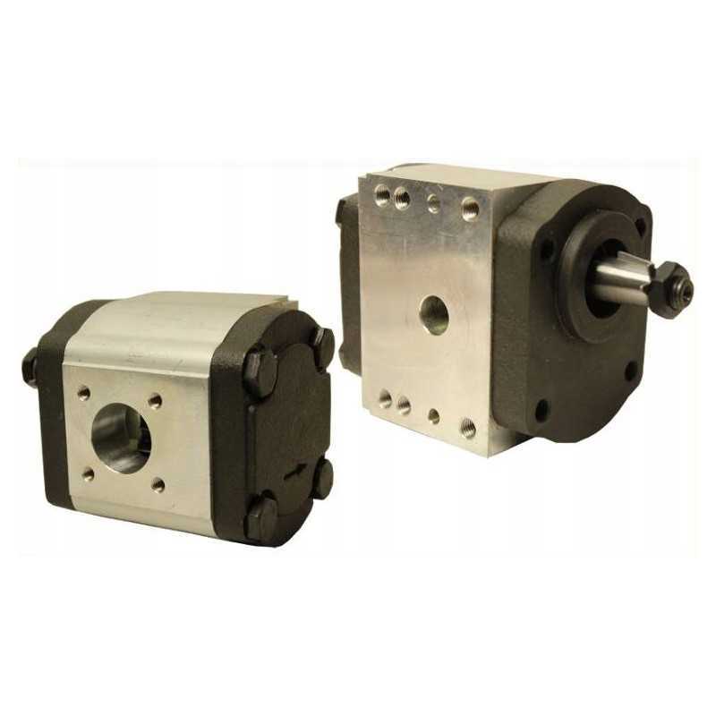 Hidraulinis siurblys mf ferguson 4301819m2