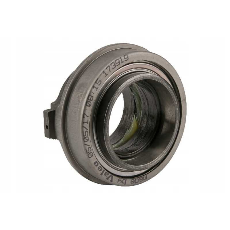 806678 smagračio guolis