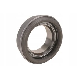 806681 smagračio guolis