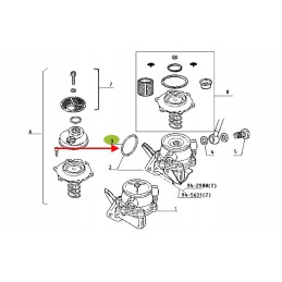 7700017704 kuro siurblio sandarinimo žiedas 34 x 3