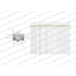 Hidraulinio pajungimo nipelis m12x1 5 m10x1 Warynsk