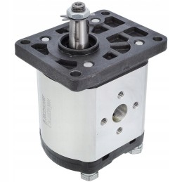 Hidraulinio siurblio korpusas 25 cc 1967851c1