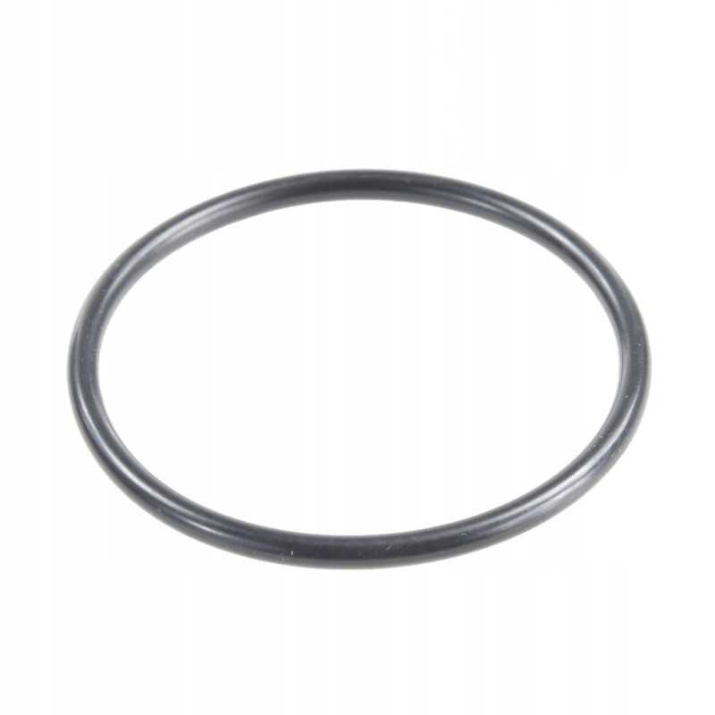 Fendt termostato oring f291200610120 originalus