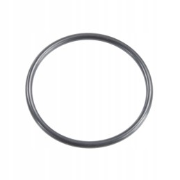 Fendt termostato oring f291200610120 originalus