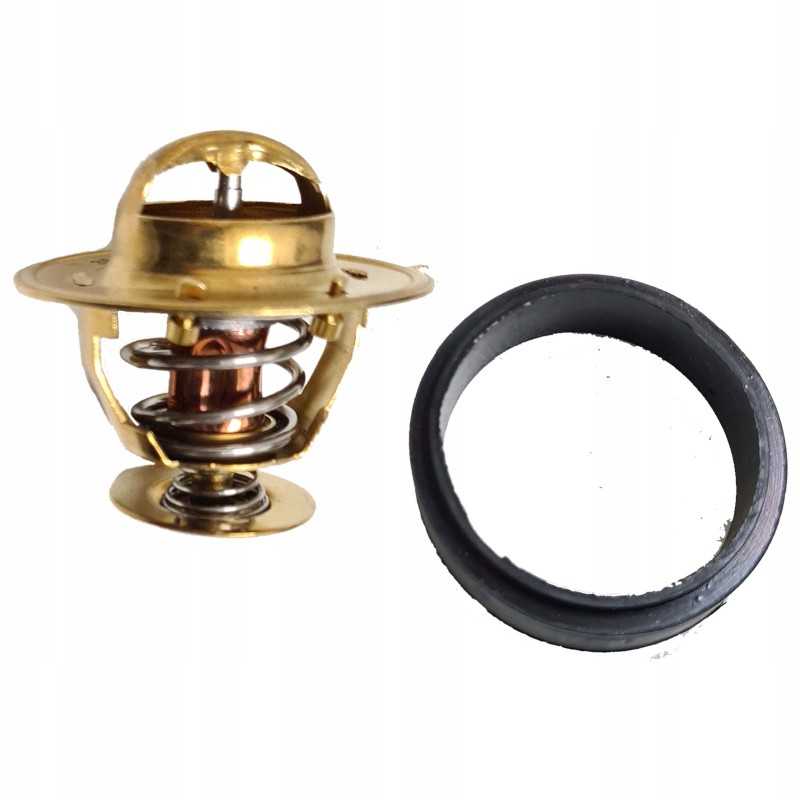 Case Maxxum MX A77736 termostatas