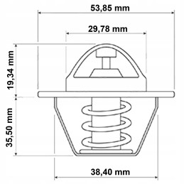 Case Maxxum MX A77736 termostatas