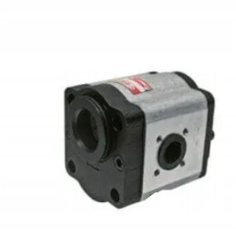 Hidraulinis siurblys Renault 0510615321