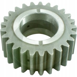 C 385 ritininis palydovas ir jo dariniai