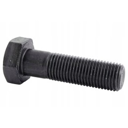 26900054210238 kaiščio varžtas