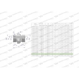 Hidraulinio pajungimo nipelis m30x2 m22x1 5 Warynsk